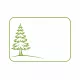 Pinus mugo 'Pumilio' Fl. 50/70
