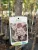 Prunus serrulata 'Amanogawa' – oszlopos japán díszcseresznye K25 3xi 8/10 T220