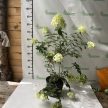 Bugás hortenzia - Hydrangea paniculata 'Polar Bear'®