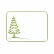 Pinus sylvestris 'Fastigiata' Fl. 200/260