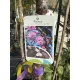 Prunus serrulata 'Royal Burgundy' – vöröslevelű japán díszcseresznye K25 3xi 8/10 T220