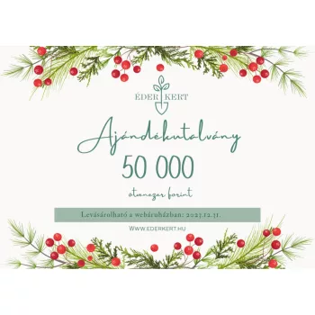 Ajándékutalvány 50 000