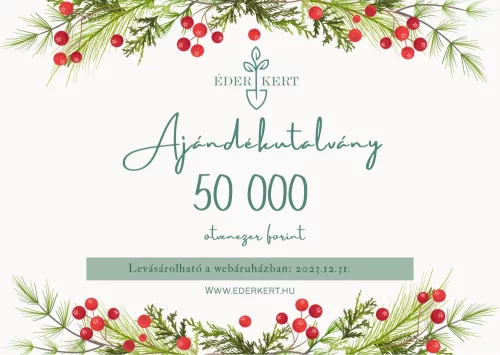 Ajándékutalvány 50 000