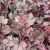Heuchera 'Cherry Cola' - Tűzeső K1,5 15/20
