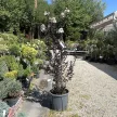 Lagerstroemia Indica 'Coconut Sorbet' - Selyemmirtusz K15 100/120
