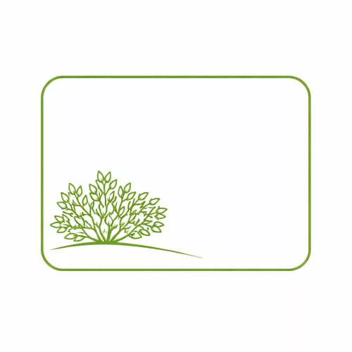 Prunus laurocerasus 'Caucasica	' Fl. 200+