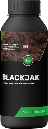 Blackjack 1 L