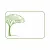 Platanus acerifolia Fl. 14/16