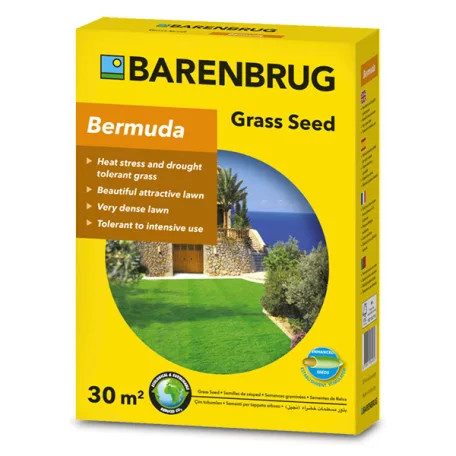 Barenbrug Bermuda 