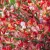 Zanót - Cytisus 'Red Favourite'