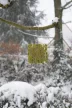 Zöld faggyúszelet tartó madáretető