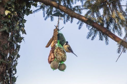 Felakasztható sötét zöld madáretető