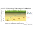 Barenbrug Resilient Blue Lawn 1 kg