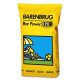 Barenbrug Bar Power RPR 15 kg